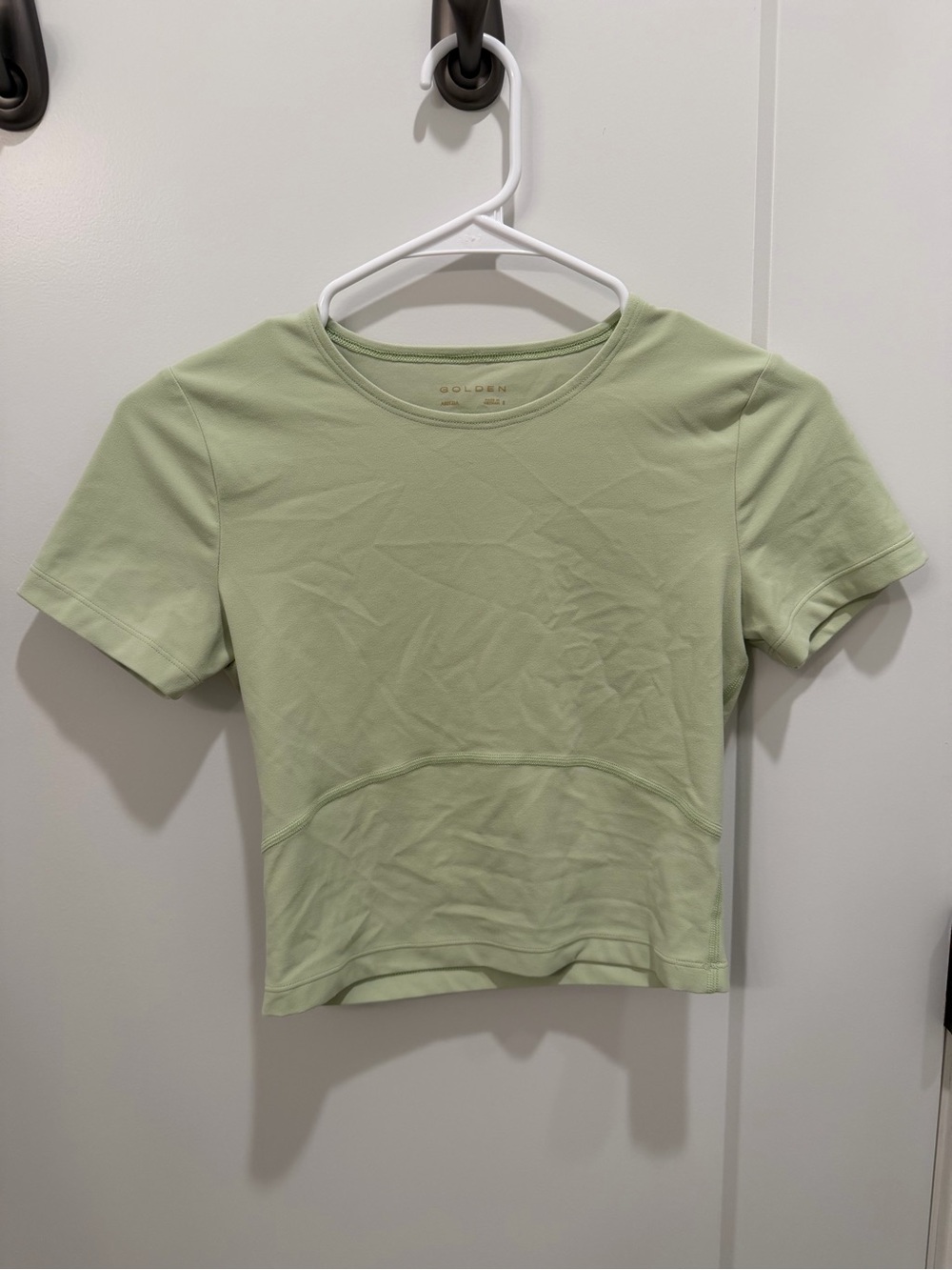 Aritzia Light Sage Short Sleeve Cropped Tee
